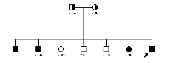 Pedigree 1038