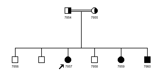 Pedigree 1080