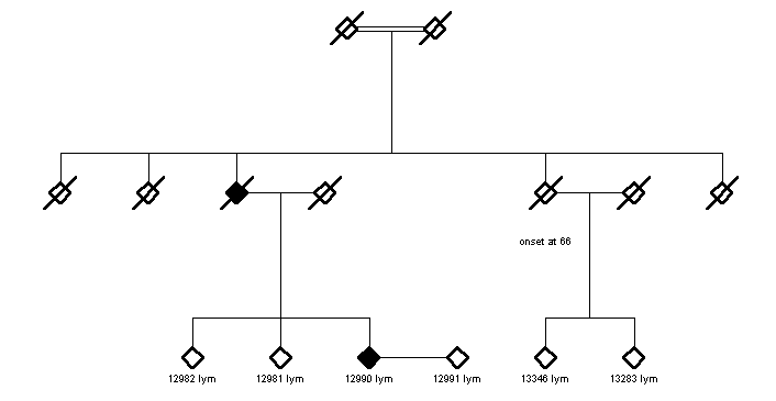 Pedigree 1305A