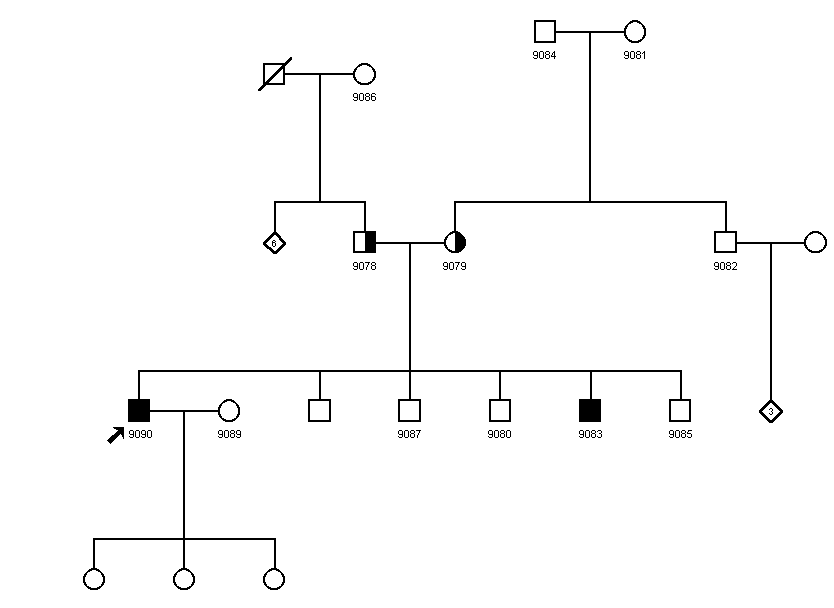 Pedigree 2117