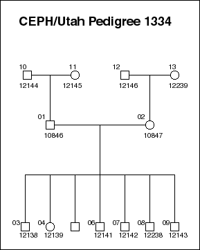 Pedigree