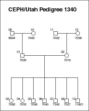 Pedigree