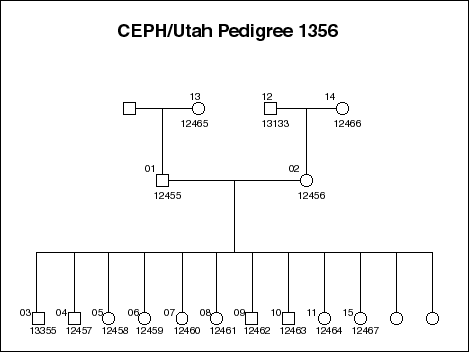 Pedigree