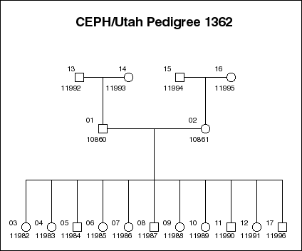 Pedigree