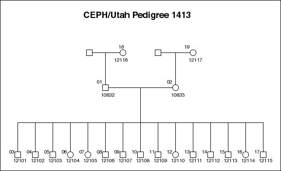 Pedigree