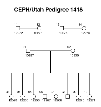 Pedigree