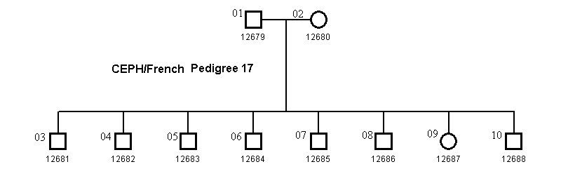 Pedigree