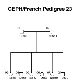 Pedigree