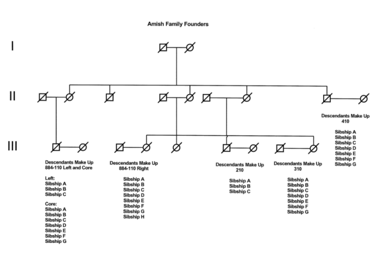 Samples for the Amish Major Affective Disorders Study