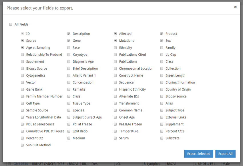 Export to Excel